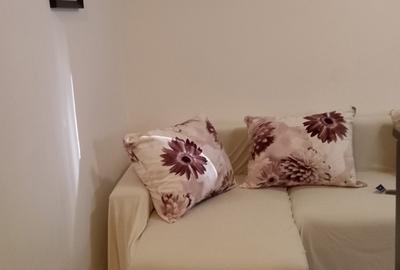 Garsonieră semidecomandată, mobilată în Unirii - 3