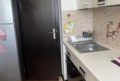 TOMIS NORD CISMELEI 2 CAMERE  450 EURO AN UNIVERSITAR - 4