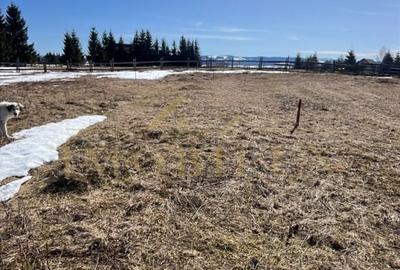 Spațiu comercial, în Mărișel - 7