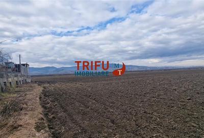 Teren de 1600 mp, în Industrială - 5