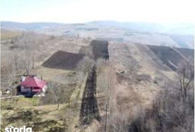 Teren de 2304 mp, în Zăpodeni - 4