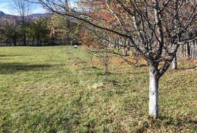 Spațiu comercial, în Lunca Mare - 3