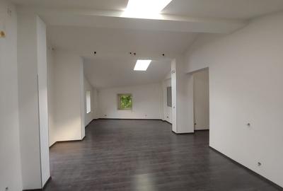 Spatiu comercia ,birouri 120 mp Dacia - 21