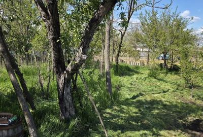 Teren agricol intravilan de 2050 mp, în Valea Măcrișului - 7