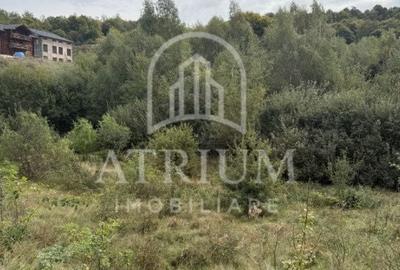 Spațiu comercial, în Făget - 1