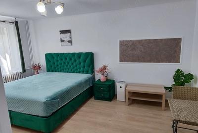 Garsonieră decomandată în Ozana - 5
