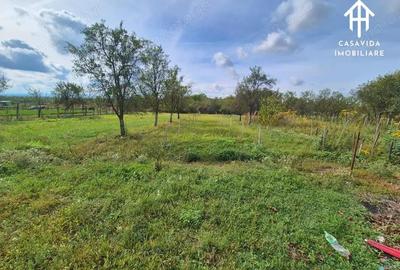 Casa de vanzare in Cire?u - 14