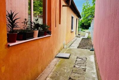 Casă individuală cu teren generos 900mp - Zona Bogdăneștilor - 8