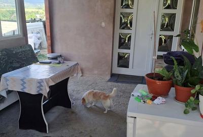 Casă cu 3 camere în Mogoșești - 4