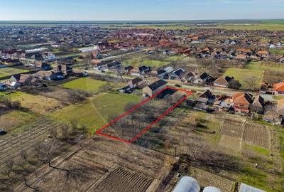 Teren Construcții intravilan de 1295 mp, în Șiria - 6