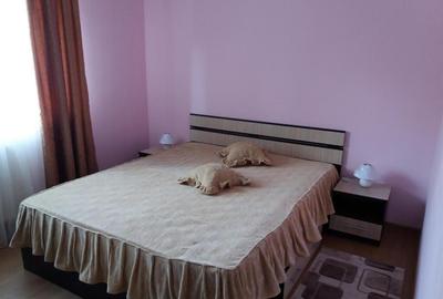 INCHIRIEZ apartament 2 camere,recent renovat, zona Turnisor - 3