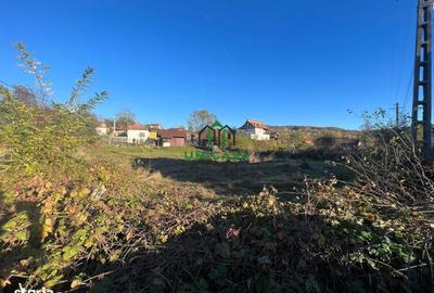 Spațiu comercial, în Valea Cheii - 1