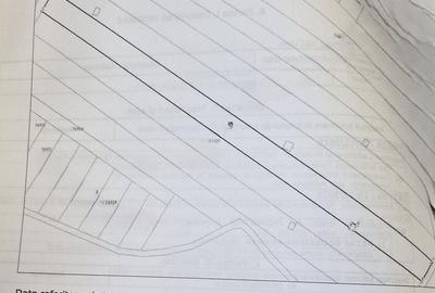 Teren de 5000 mp, în Ulmi