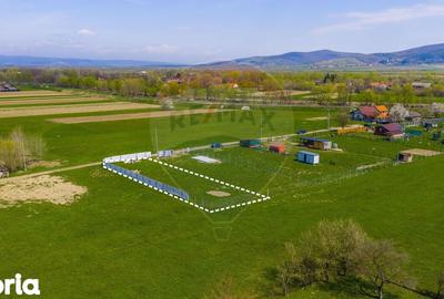 Teren de 730 mp, în Dobârlău - 5