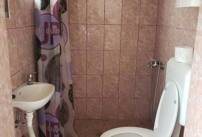 VAND casa renovata, luminoasa cu tavan inalt ,utila pentru orice destinatie,in Jimbolia. - 4