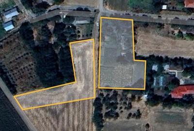 Casă cu 3 camere cu Teren 2800 Mp în Floroaica - 1