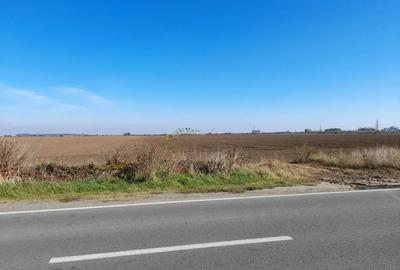 Teren agricol extravilan de 45000 mp, în Urziceni - 1