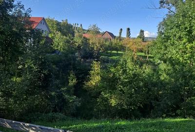 Casa de vanzare la ?ara cu gradina spa?ioasa - 6