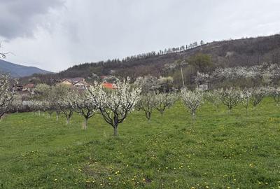 Spațiu comercial, în Central - 9