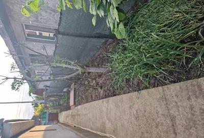 Casa de Vanzare Slobozia Noua Casa de Vanzare Slobozia Noua - 7