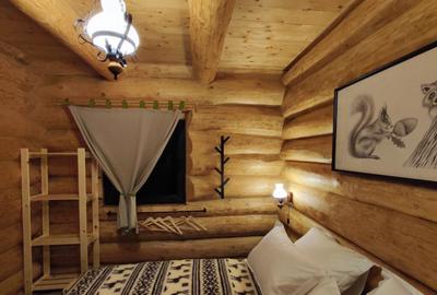 Cabana spectaculoasa de inchiriat - 2