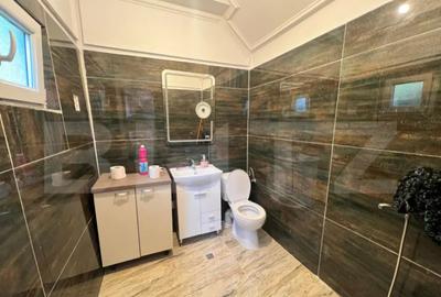 Apartament cu 2 camere semidecomandat, mobilat în Bariera Vâlcii - 3