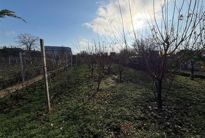 Hala + birou + magazie + teren de vanzare in Focsani / Mandresti - 28