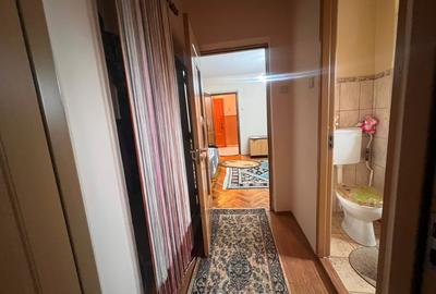 Apartament cu 2 camere semidecomandat, mobilat în Brazda lui Novac - 9