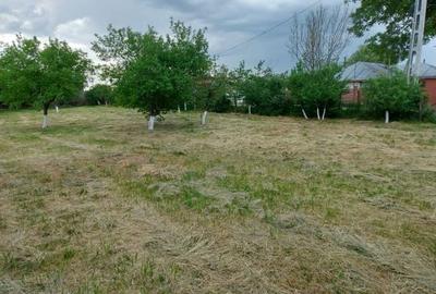 Teren intravilan de vânzare | 900 mp | Movila | Toate utilitatile - 5