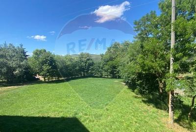 Teren Construcții intravilan de 31603 mp, în Gilău - 3