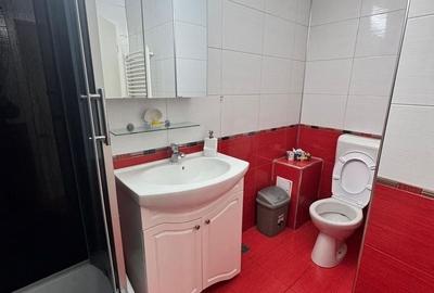 Apartament cu 2 camere decomandat, mobilat în Prelungirea Ghencea - 8