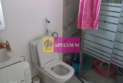 Vila P+1+pod- Fundeni- Dobroesti - 13