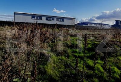 Teren Construcții extravilan de 1000 mp, în Bariera Vâlcii - 2