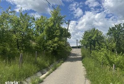 Teren de 1719 mp, în Văleni-Dâmbovița - 4