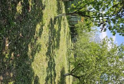 Casă cu 4 camere cu Teren 1300 Mp în Dițești