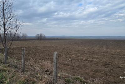 Teren Construcții intravilan de 1.2999999523163 mp, în Central - 1