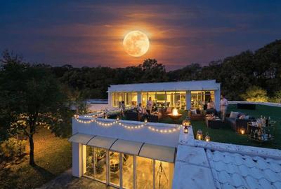 Teren în Afumați - 5