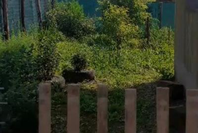 Casă cu 2 camere cu Teren 1420 Mp în Zam - 3