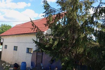 Imobil in regim P+M, Bistrita, Unirea la DN (cititi descerierea)