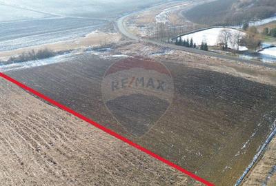 Teren pentru cabana 7.000mp in Hoghilag, Taramul Tubero... - 6