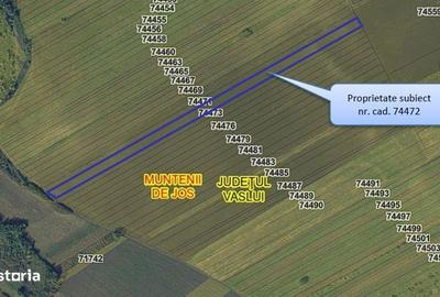 Teren de 24200 mp, în Muntenii de Jos - 4