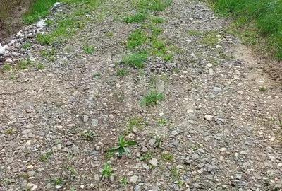 Teren de 1000 mp, în Borhanci - 3