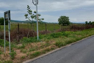 Teren de 11780 mp, în Merei - 7