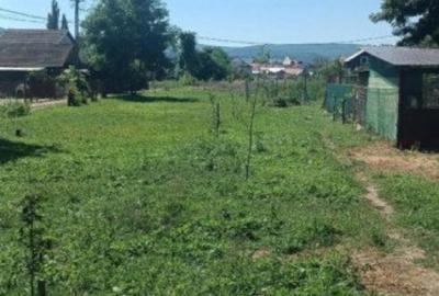 Teren intravilan, 3000 mp, zona centurii Donath Teren intravilan, 3000 mp, zona centurii Donath - 2