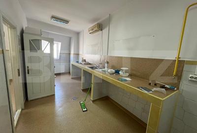 Imobil de inchiriat, 329 mp, Centru Vechi - 12 camere - 7