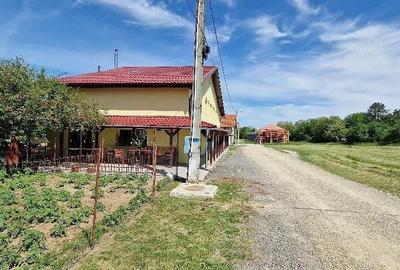 Casă cu 10 camere cu Teren 1000 Mp în Băile 1 Mai - 3