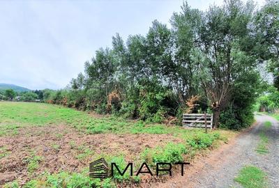 Teren agricol intravilan de 1682 mp, în Central - 3