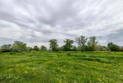 Teren de 6100 mp, în Central