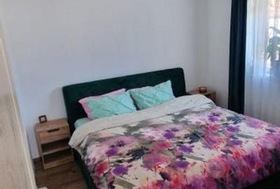 Casă cu 4 camere în Satu Nou de Sus - 1