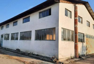 Inchiriez hala de produc?ie - 5